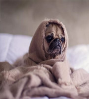 随州有这样的手机号码，留不住钱，你中枪了吗？