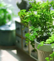 随州专属于你的开运指南，助你鸿运当头福满身！