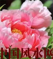 随州预示你财运上升，姻缘可成的梦境，快来看看吧！