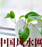 随州家中摆放六种吉祥物，会打开您的财运大门！